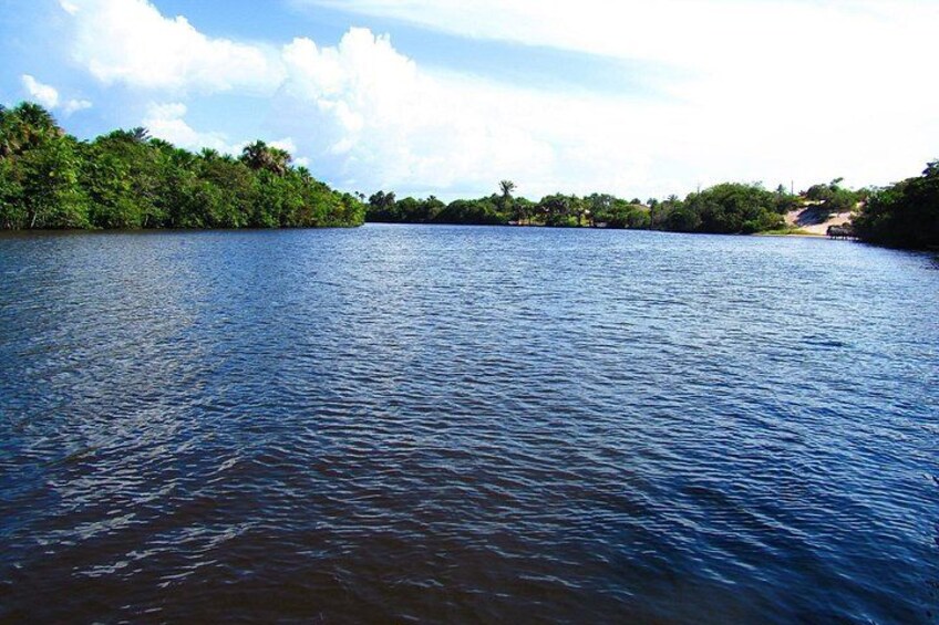 Speedboat Tour in Rio Preguicas with Transport 5