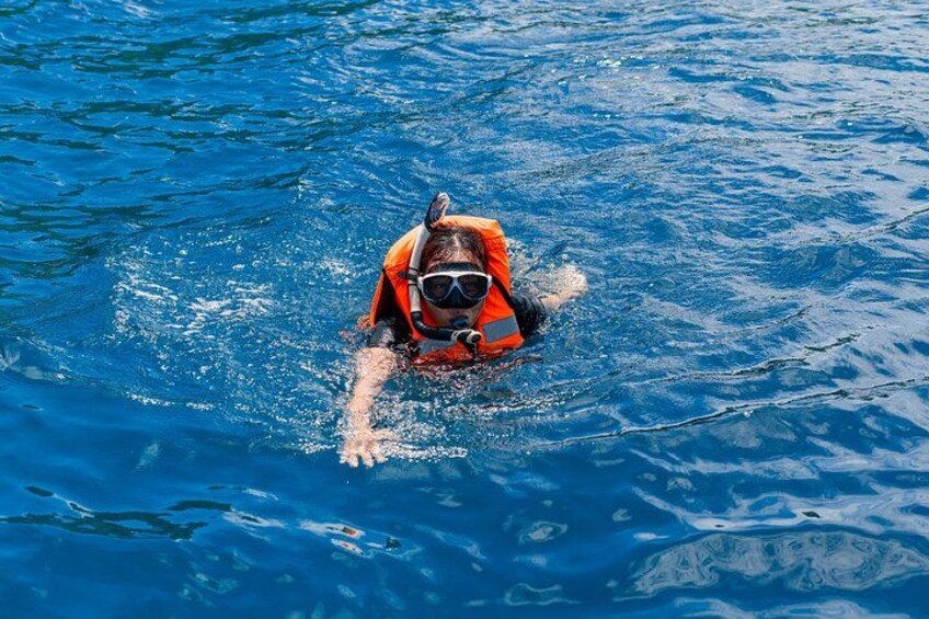 A dog wearing a life jacket and goggles swimming in the ocean. 4