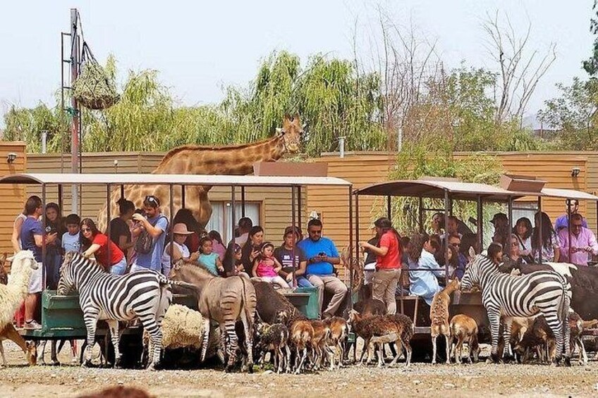 Safari Park 2
