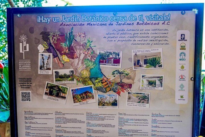 Un pannello informativo di un giardino botanico, con foto e testo. 3