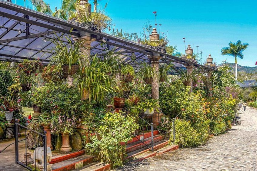 A greenhouse with various plants and flowers, a cobblestone path, and a clear blue sky. 4