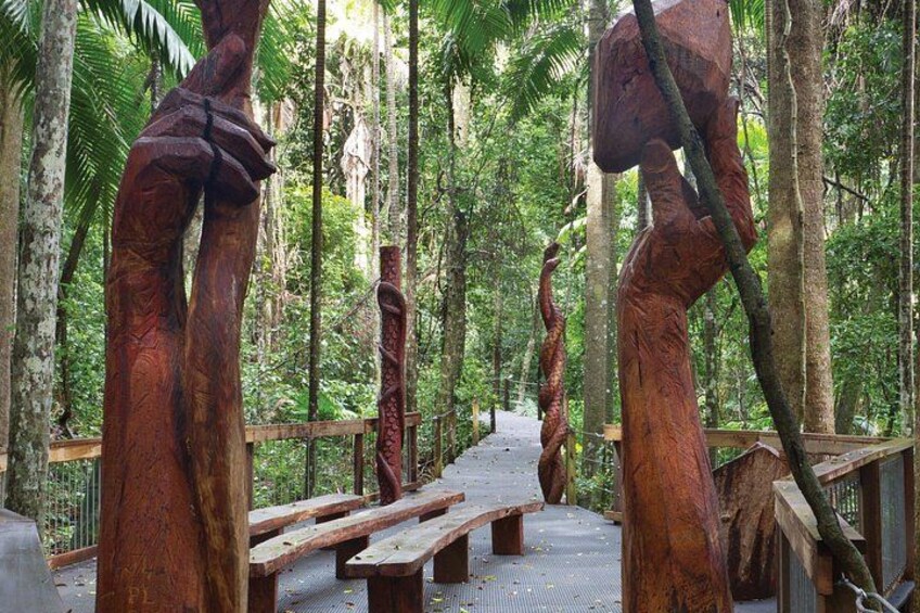 Sea Acres National Park: Sea Acres Aboriginal Coastal Tour 1