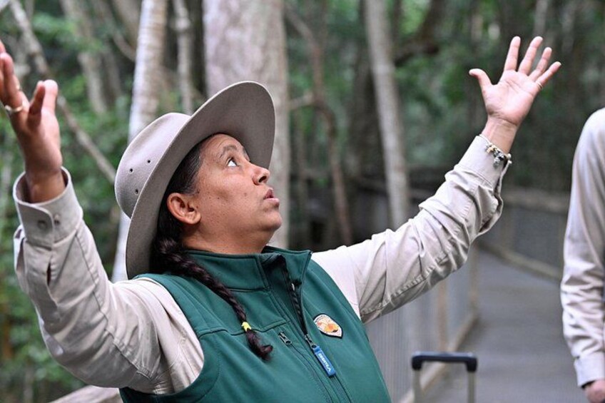 A person in a green vest and hat, standing on a bridge with trees in the background. 4