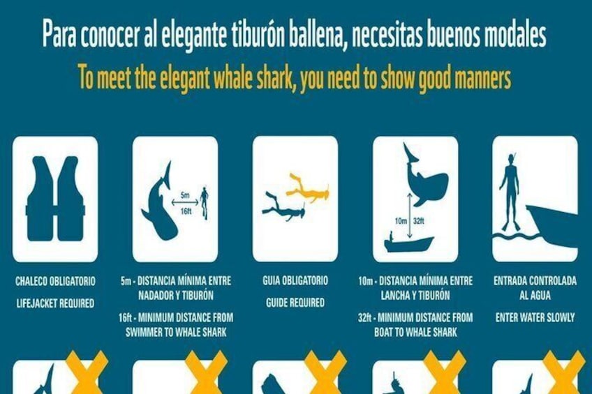Recomendaciones para interactuar con tiburones ballena, que incluyen el uso obligatorio de chalecos salvavidas, mantener distancias mínimas y acceso controlado al agua. 4