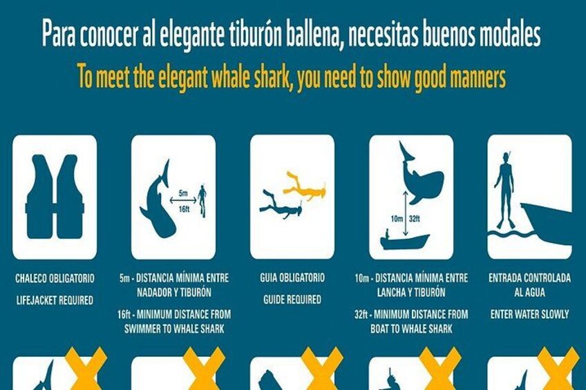 Recomendaciones para interactuar con tiburones ballena, incluyendo mantener una distancia mínima de 5 metros del tiburón y 10 metros del barco. 2