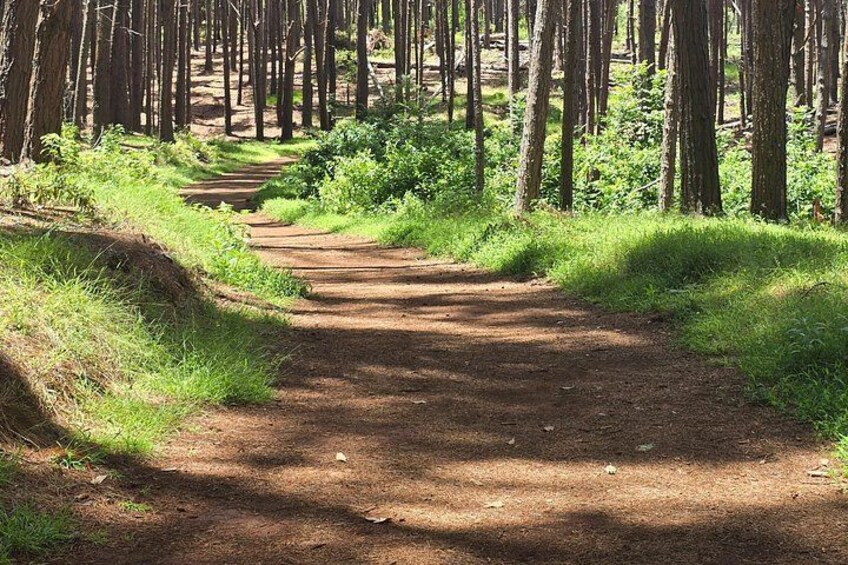 Private Upcountry Hiking Tour 4