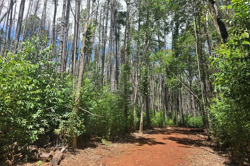 Private Upcountry Hiking Tour 3
