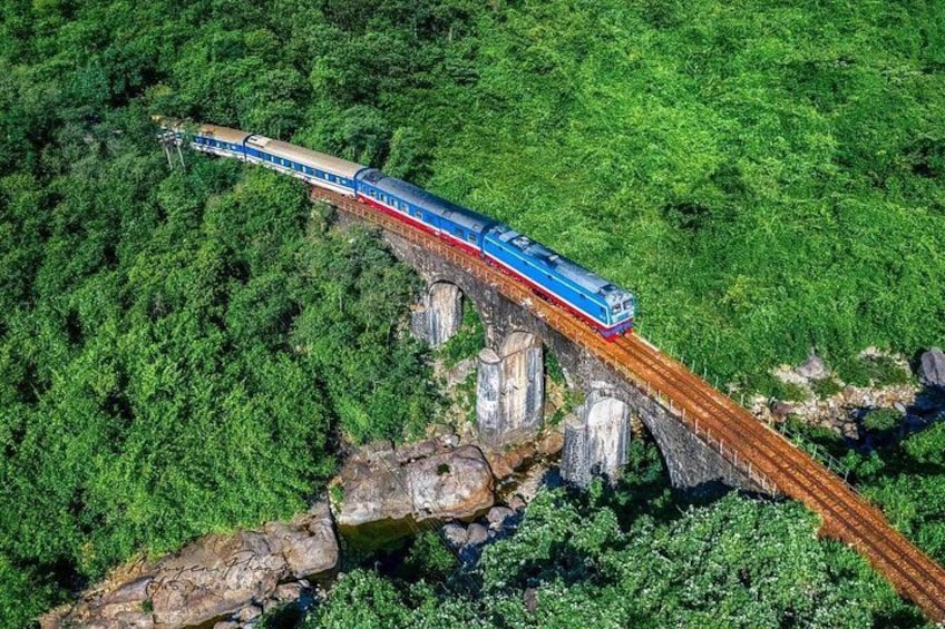 A train crossing a bridge over a forested area. 1