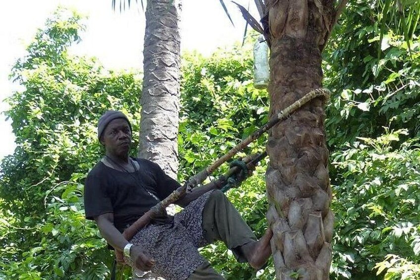 Makasutu Eco Adventure: Forest Walk, Boat Trip & Palm Juice 5