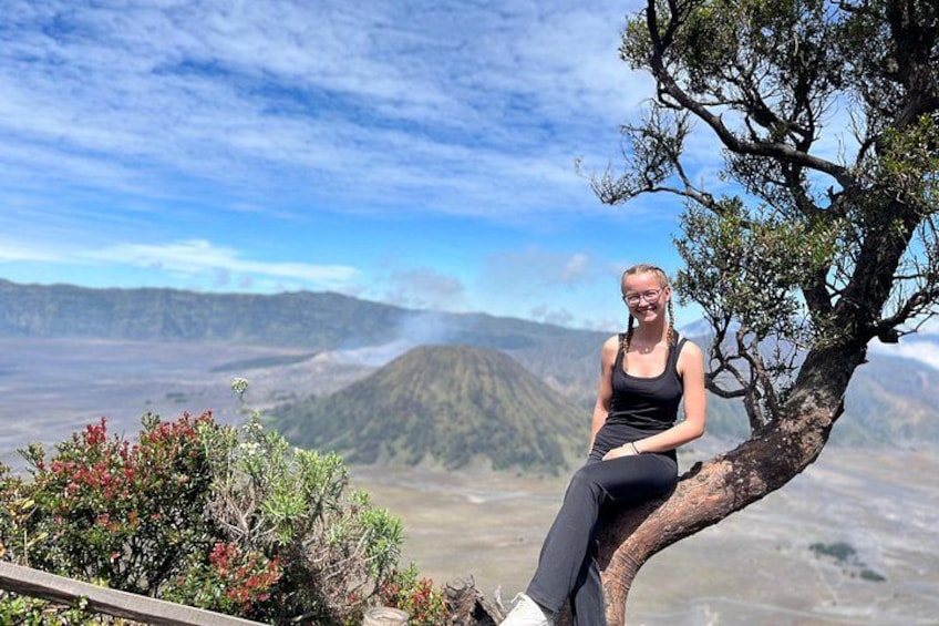 A person sitting on a tree branch overlooking a mountainous landscape. 4