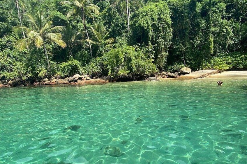 Un mar turquesa transparente, una playa arenosa y una vegetación verde exuberante. 2