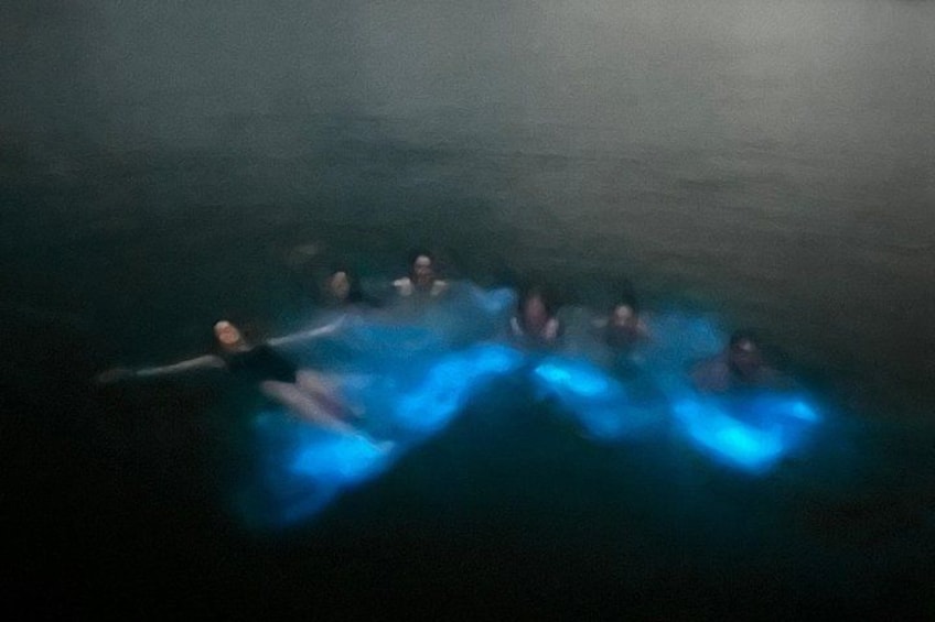 Mystic Waters A Bioluminescent Night Tour 2