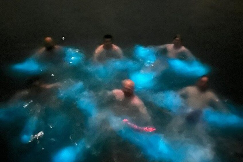 Mystic Waters A Bioluminescent Night Tour 3