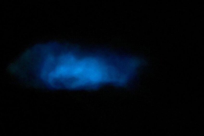 Mystic Waters A Bioluminescent Night Tour 5