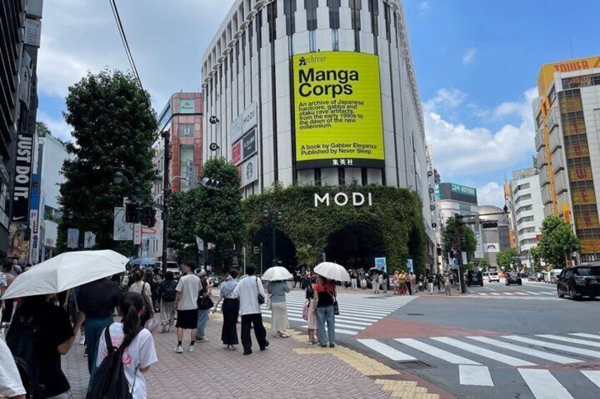 Anime in Tokyo or Shibuya with Personal Coordinator：Sat or Sun 3