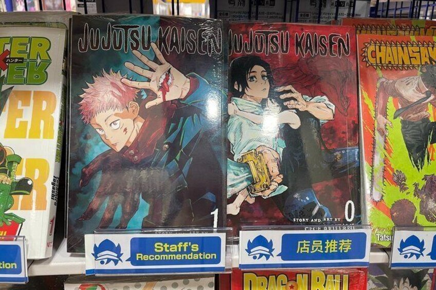 Anime in Tokyo or Shibuya with Personal Coordinator：Sat or Sun 1