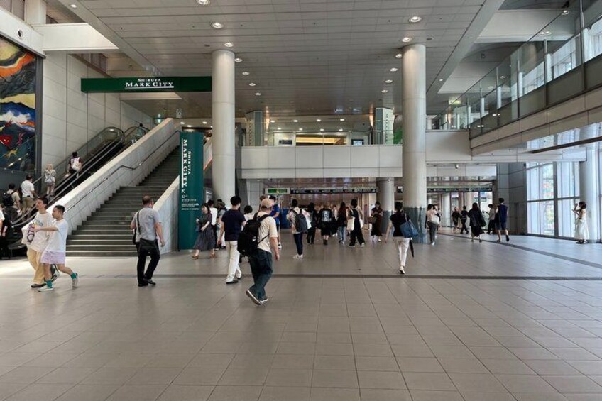 Anime in Tokyo or Shibuya with Personal Coordinator：Sat or Sun 2