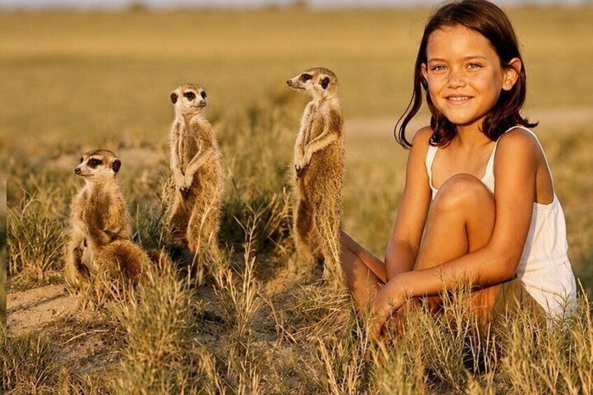 A person sitting on the ground with three meerkats standing behind them in a grassy field. 1