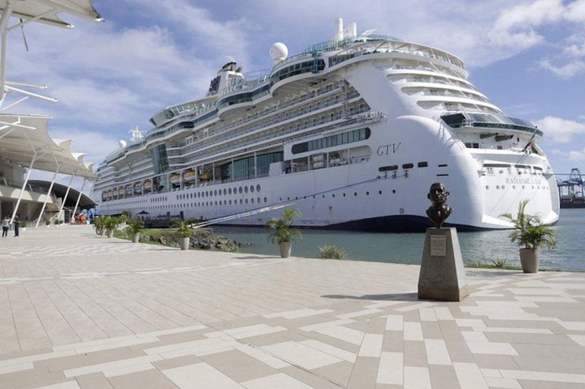 Un gran crucero amarrado en un puerto con un paseo de baldosas y plantas en macetas. 1