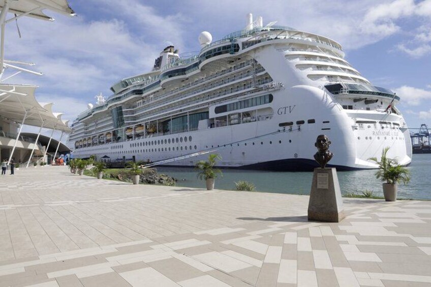 Un grand navire de croisière a accosté dans un port doté d  ’une promenade dallée et agrémenté de plantes en pot. 1