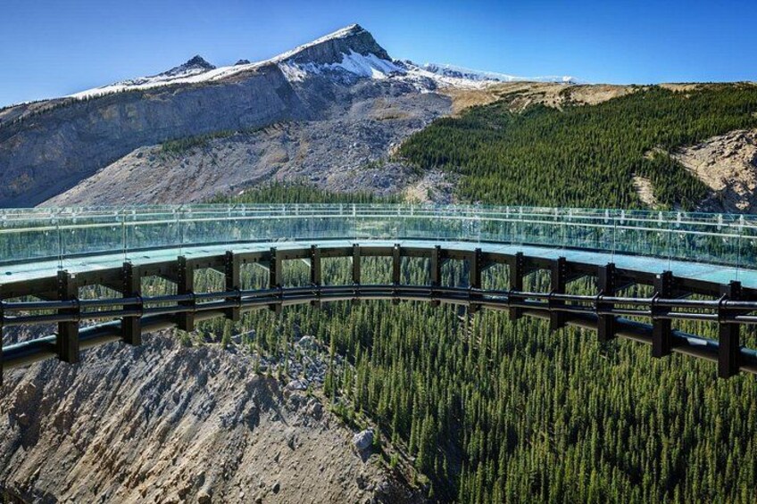 A glass bridge over a forested valley with a mountain in the background. 3