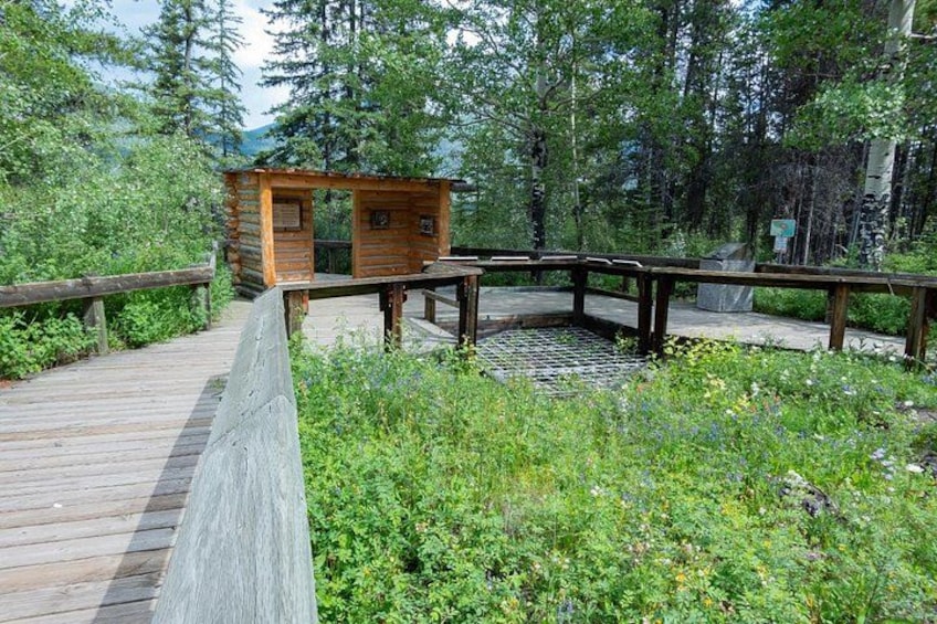 A wooden cabin with a deck, surrounded by dense forest and a small pond. 2