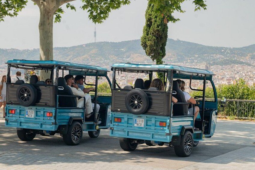 Twee blauwe safarivoertuigen met passagiers, geparkeerd op een verhard gebied met een boom en een verre skyline. 3