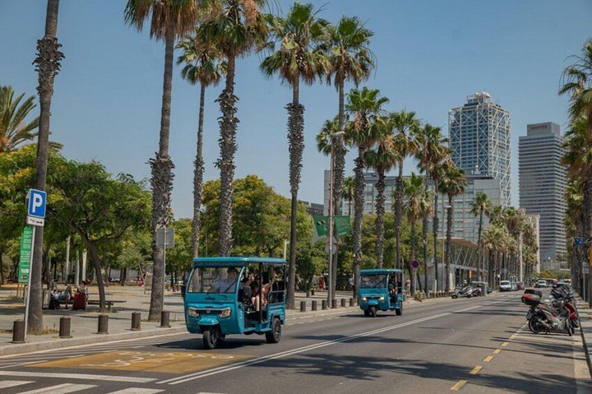 A city street lined with palm trees and a blue tuk-tuk driving down the road. 2