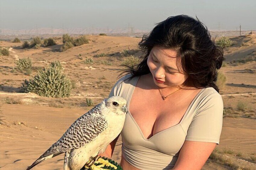 Une personne tenant un oiseau de proie dans un paysage désertique. 5