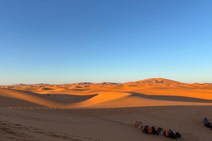 4-Days Desert Tour From Marrakech To Fes Via Merzouga 1