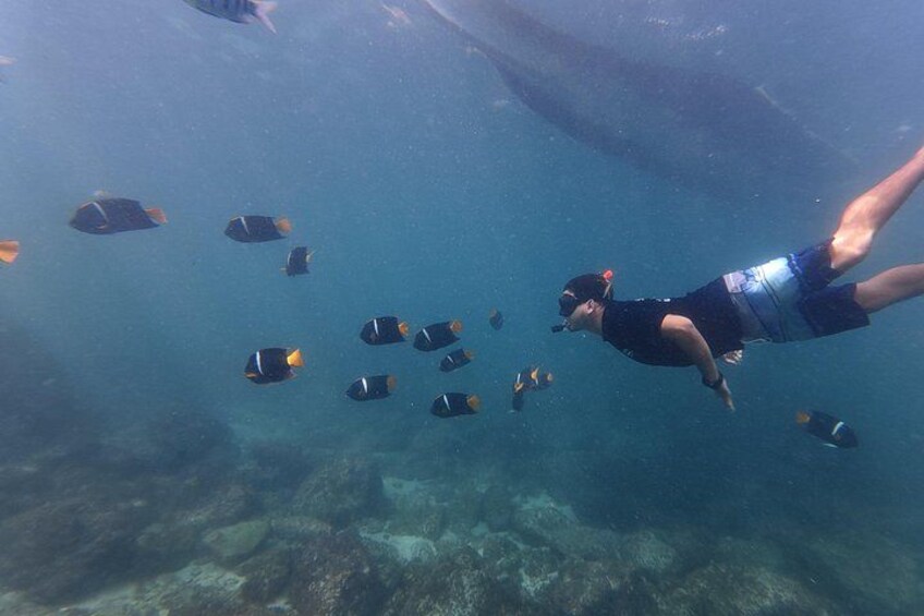Hidden Beach Snorkeling Adventure 3