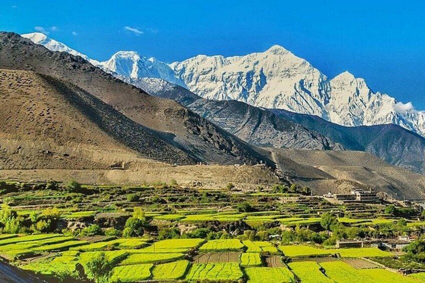 Terraced fields, a mountainous landscape, and snow-capped peaks. 1