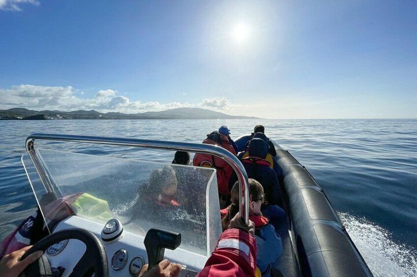 Whale Watching and Dolphin Swimming Adventure in Azores 2