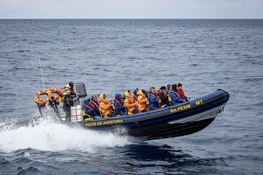 Whale Watching and Dolphin Swimming Adventure in Azores 3