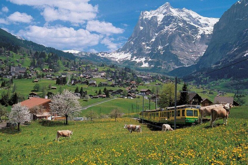 From Basel: Swiss Alps, Lauterbrunnen, Beatus Caves Small Group 2