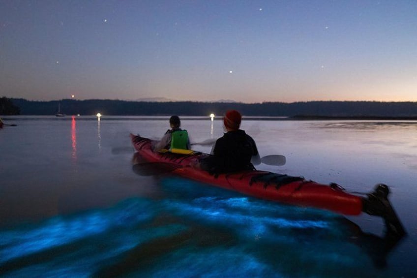 Bioluminescence Kayak Tour: Port Townsend, WA 1