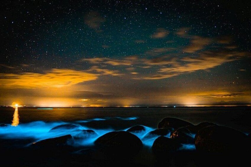 Bioluminescence Kayak Tour: Port Townsend, WA 2