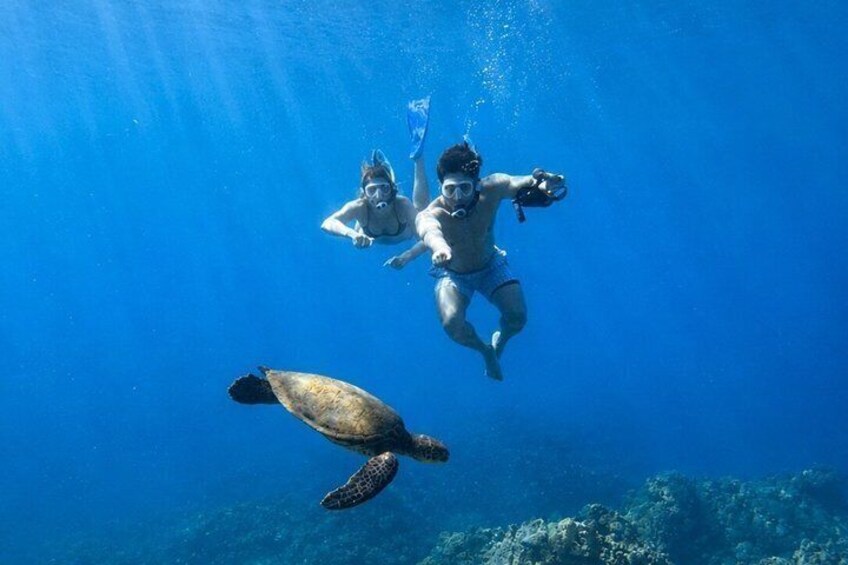 Turtle Town Sunset Kayak & Snorkel: Wailea 4