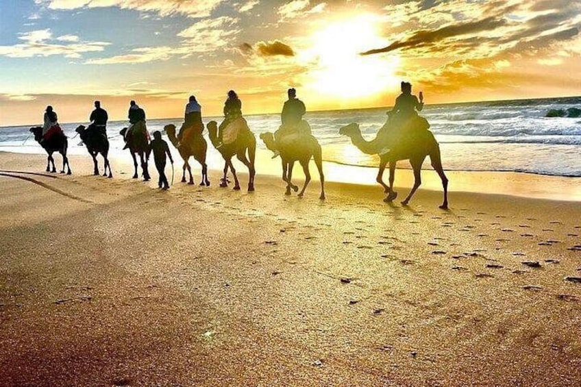 Tangier Camel Ride Adventure – An Iconic Morocco Experience 1