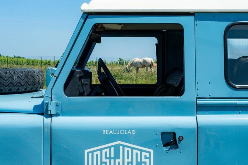 Our Land Rovers are a perfect match for the region, we just love driving in style! 3