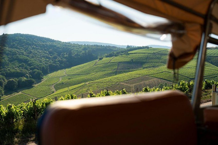 We can't get enough of those views 4