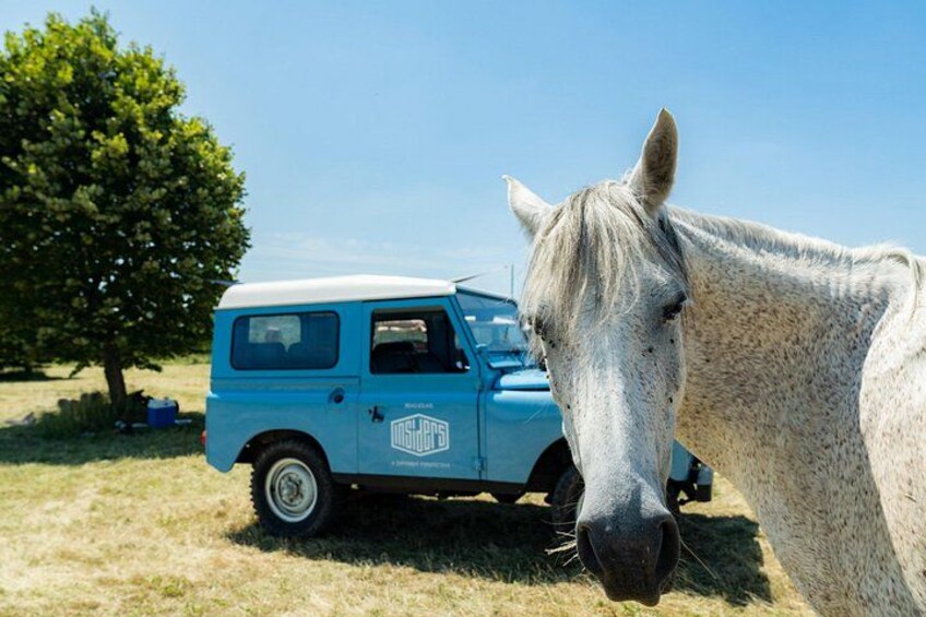 Private food & wine tour of southern Burgundy by vintage Land Rover 1