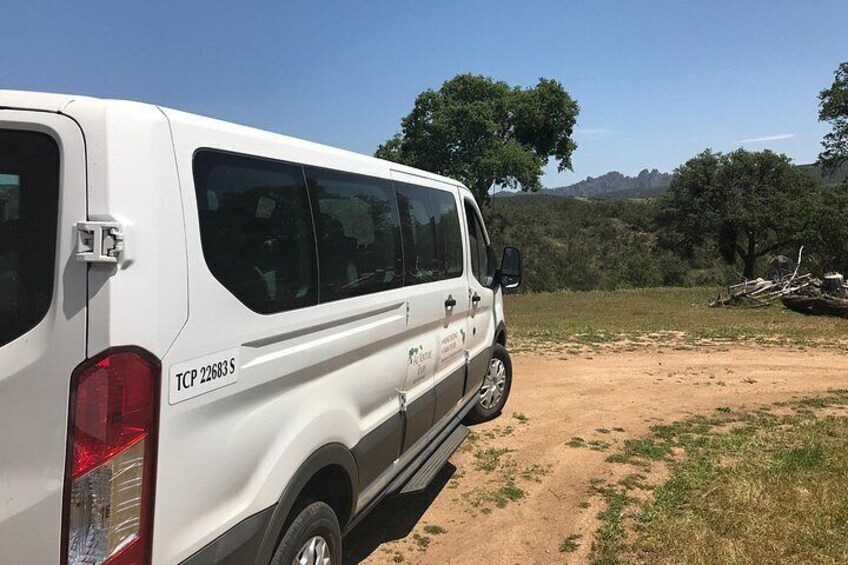 14 passenger Ford Transit van 2