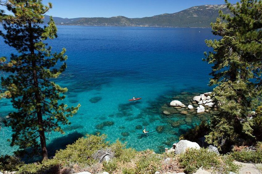 A clear blue sea, a person in a kayak, and rocky shores with pine trees. 4
