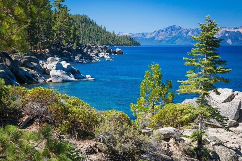 Lake Tahoe Half-Day Morning Guided Tour from Reno | Small Group 4