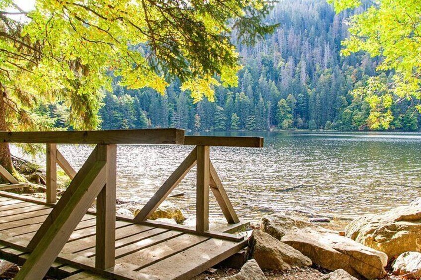 A wooden dock extending over a calm lake surrounded by dense forest. 2