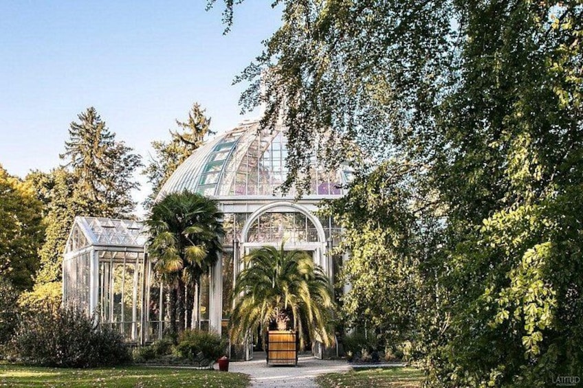 A greenhouse with a glass dome, surrounded by lush greenery and palm trees. 4