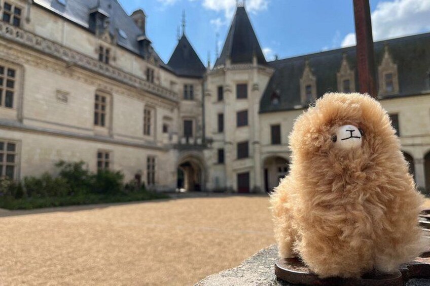 Small Group 3 Loire Valley Castles & Wine Tasting Guided Tour 4