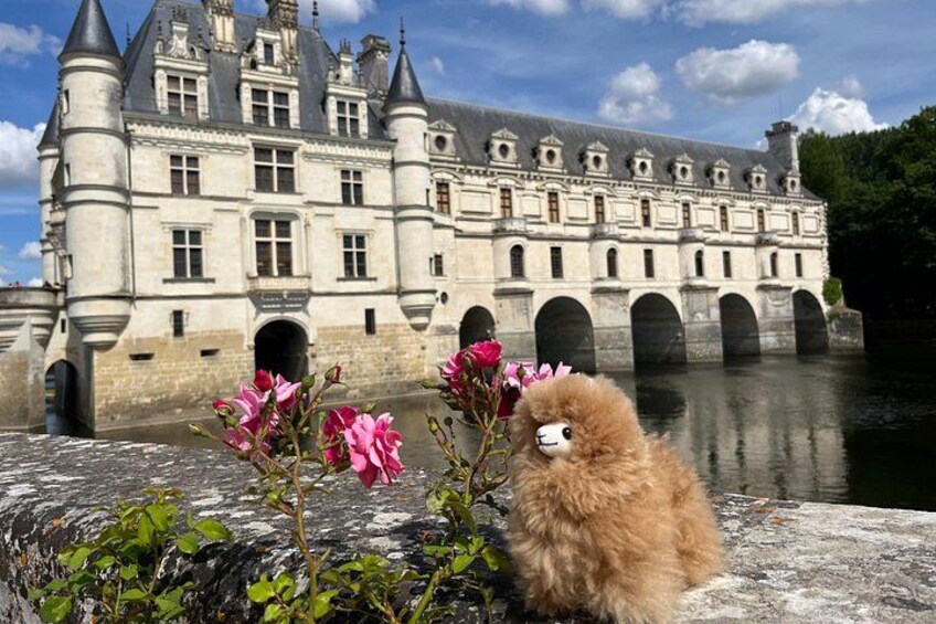 Small Group 3 Loire Valley Castles & Wine Tasting Guided Tour 1