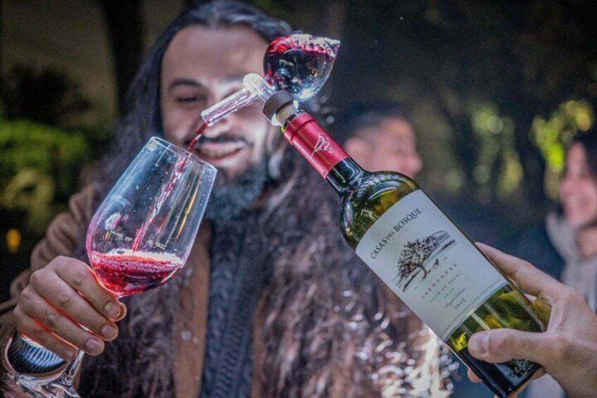A person pouring red wine into a glass. 3